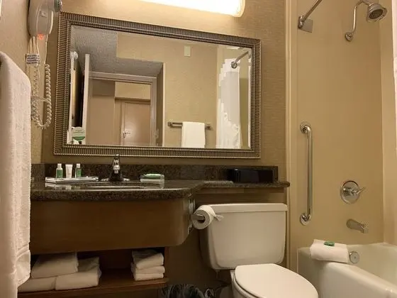 Standard Oda, 2 Çift Kişilik Yatak, Engellilere Uygun (Communication, Accessible Tub)