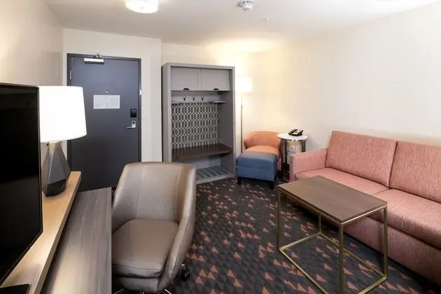 Süit, 1 Yatak Odası (Living Area)