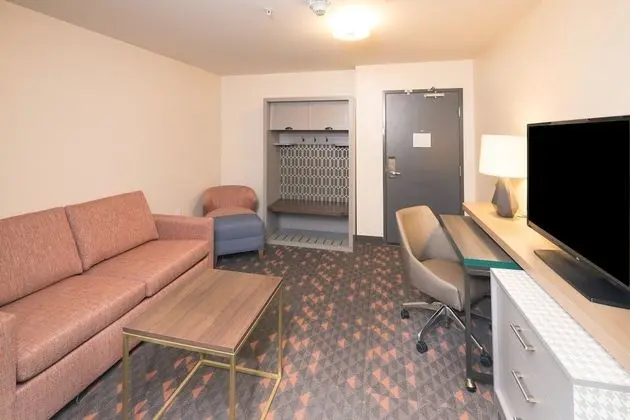 Süit, 1 Yatak Odası (Living Area)