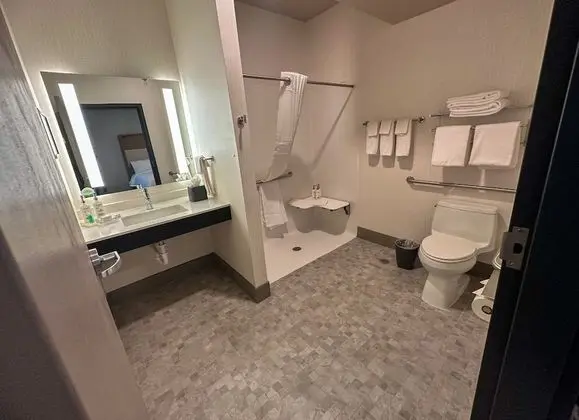 Standard Oda, 1 En Büyük (King) Boy Yatak, Engellilere Uygun (Roll-In Shower)