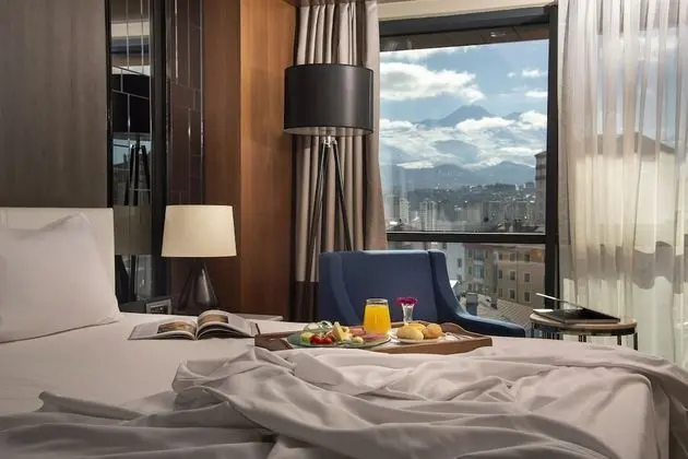 Premium Oda, 1 En Büyük (King) Boy Yatak, Sigara İçilebilir