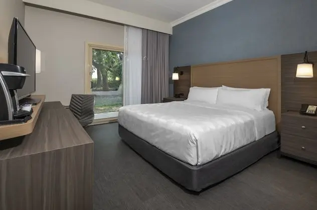 Oda, 1 En Büyük (King) Boy Yatak, Engellilere Uygun (Pet-Friendly)