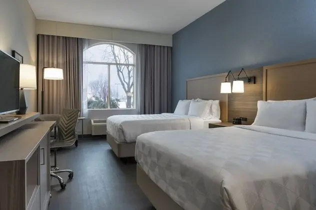 Standard Oda, 2 Büyük (Queen) Boy Yatak (Pet-Friendly)