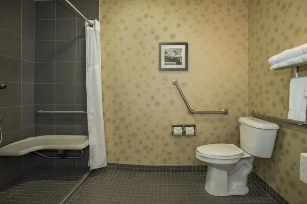 Standard Oda, 1 Büyük (Queen) Boy Yatak, Engellilere Uygun (Roll-In Shower)