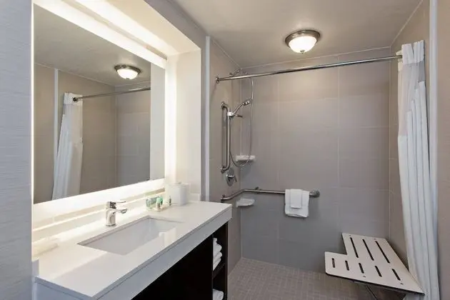 Standard Oda, 1 En Büyük (King) Boy Yatak, Engellilere Uygun (Communications, Roll in Shower)