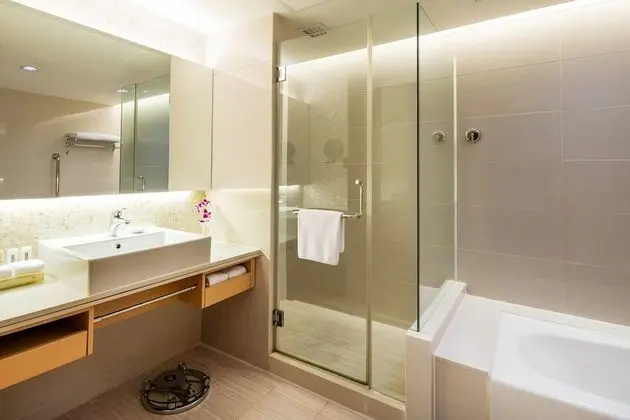 Süit, 1 Yatak Odası (Lounge Access)