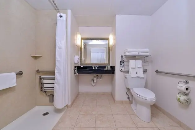 Süit, 1 En Büyük (King) Boy Yatak, Engellilere Uygun (Roll-In Shower)