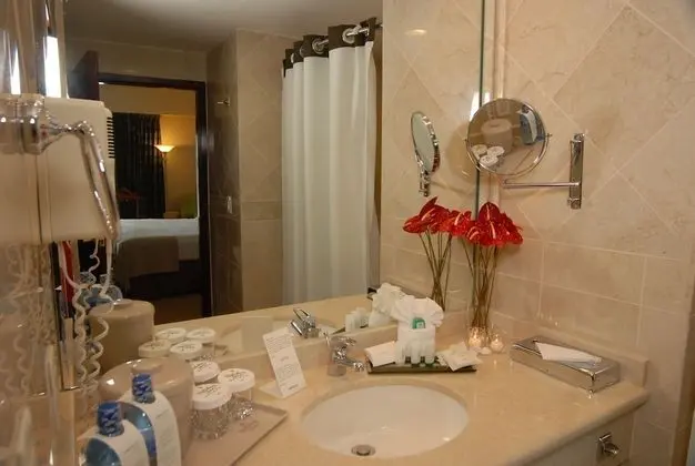 Standard Oda, Birden Çok Yatak (Bath and Shower)