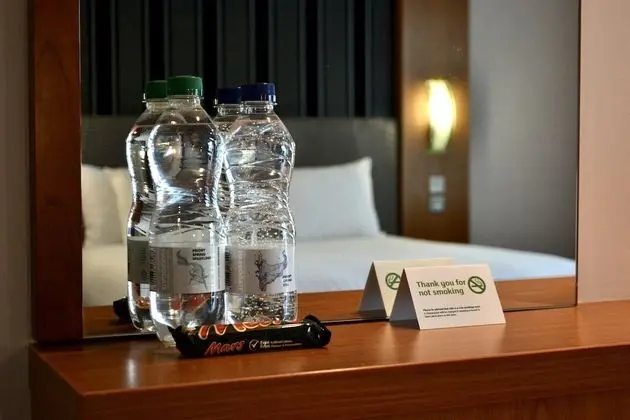 Premium Oda, 1 Çift Kişilik Yatak
