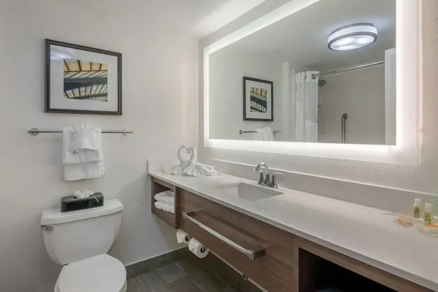 Standard Oda, 1 En Büyük (King) Boy Yatak, Engellilere Uygun (Communications, Accessible Tub)