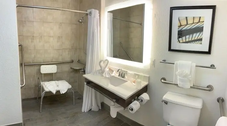 Standard Oda, 1 En Büyük (King) Boy Yatak, Engellilere Uygun (Communications, Roll-In Shower)