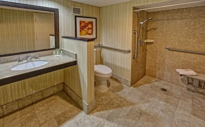 Oda, 1 En Büyük (King) Boy Yatak, Engellilere Uygun, Sigara İçilmez (Roll-In Shower)