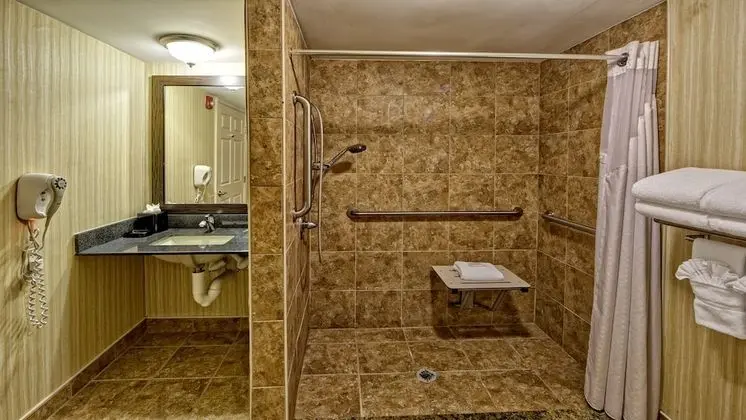 Oda, 2 Çift Kişilik Yatak, Engellilere Uygun, Sigara İçilmez (Accessible Tub)