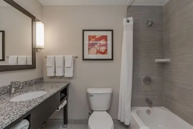 Standard Oda, 1 En Büyük (King) Boy Yatak, Engellilere Uygun (Mobility, Accessible Tub)