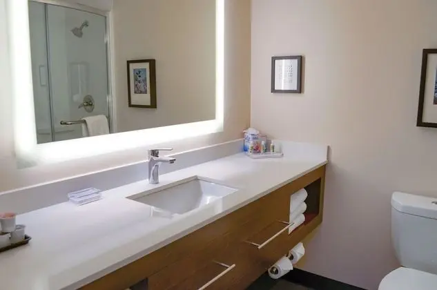 Standard Oda, 1 En Büyük (King) Boy Yatak, Engellilere Uygun (Mobility, Roll-In Shower)