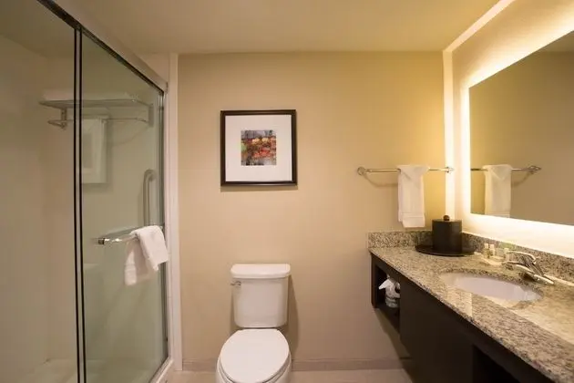Standard Oda, 2 Büyük (Queen) Boy Yatak, Engellilere Uygun (Mobility, Accessible Tub)
