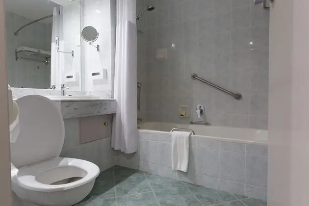 Standard Oda, 1 En Büyük (King) Boy Yatak, Şehir Manzaralı (Mountain View)