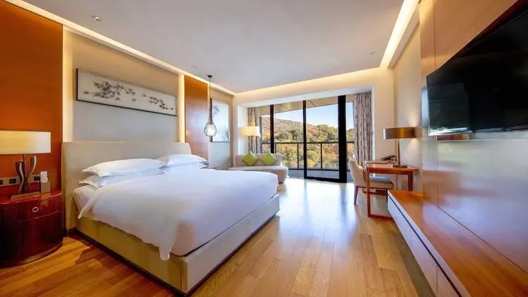 Premium Oda, Balkon, Şehir Manzaralı