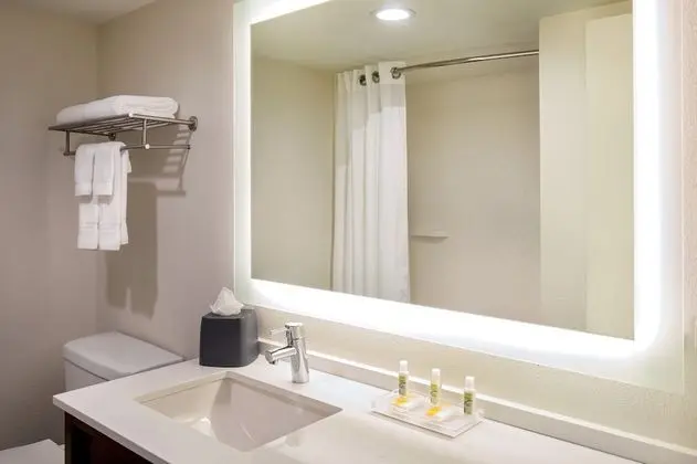 Standard Oda, 2 Büyük (Queen) Boy Yatak, Engellilere Uygun (Accessible Tub)