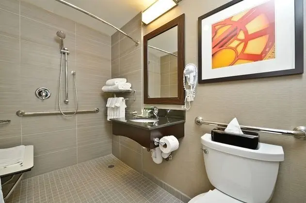 Standard Oda, 1 En Büyük (King) Boy Yatak, Engellilere Uygun (Mobility Roll-In Shower)