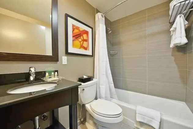 Standard Oda, 1 En Büyük (King) Boy Yatak, Engellilere Uygun (Mobility Roll-In Shower)