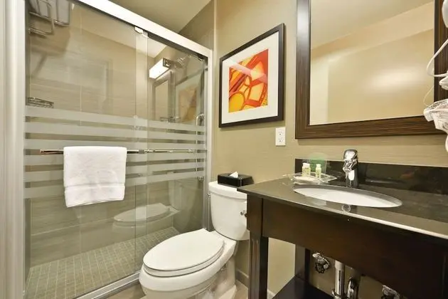 Standard Oda, 1 En Büyük (King) Boy Yatak, Engellilere Uygun (Mobility Roll-In Shower)