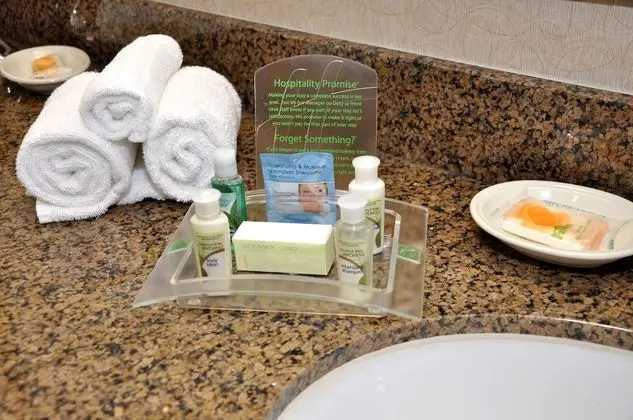 Standard Oda, 1 En Büyük (King) Boy Yatak, Engellilere Uygun (Communication, Accessible Tub)