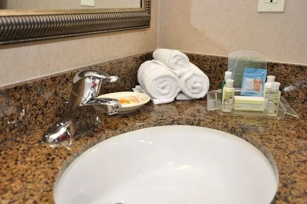 Standard Oda, 1 En Büyük (King) Boy Yatak, Engellilere Uygun (Communication, Accessible Tub)