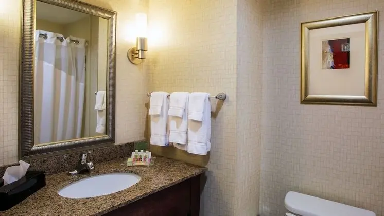 Standard Oda, 1 Büyük (Queen) Boy Yatak, Engellilere Uygun (Roll-In Shower)