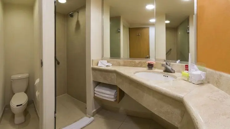 Premium Oda, 1 En Büyük (King) Boy Yatak, Sigara İçilebilir