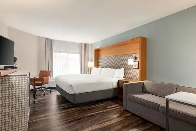 Standard Oda, 1 En Büyük (King) Boy Yatak ve Çekyat (Pet Friendly)