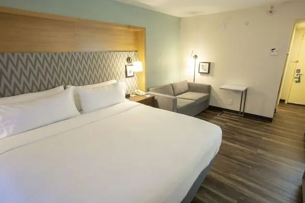 Standard Oda, 1 En Büyük (King) Boy Yatak ve Çekyat (Pet Friendly)