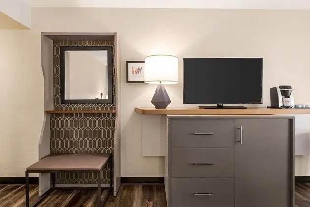 Standard Oda, 1 En Büyük (King) Boy Yatak ve Çekyat (Pet Friendly)