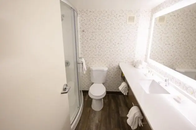 Standard Oda, 2 Büyük (Queen) Boy Yatak, Havuz Manzaralı