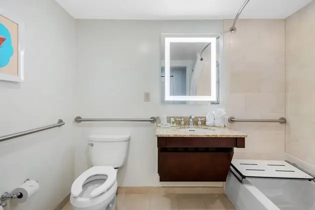Standard Oda, 1 En Büyük (King) Boy Yatak, Engellilere Uygun (Mobility, Accessible Tub)