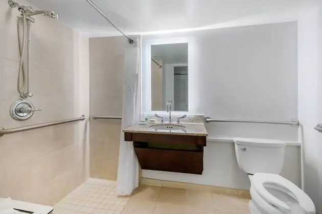 Standard Oda, 1 En Büyük (King) Boy Yatak, Engellilere Uygun (Mobility, Roll-In Shower)