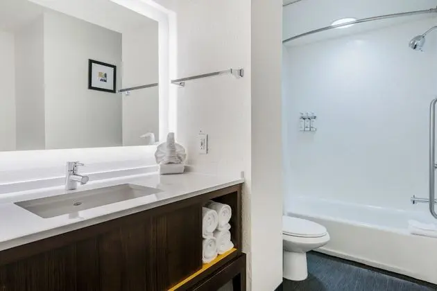 Süit, 1 En Büyük (King) Boy Yatak ve Çekyat (Extra Floor Space)