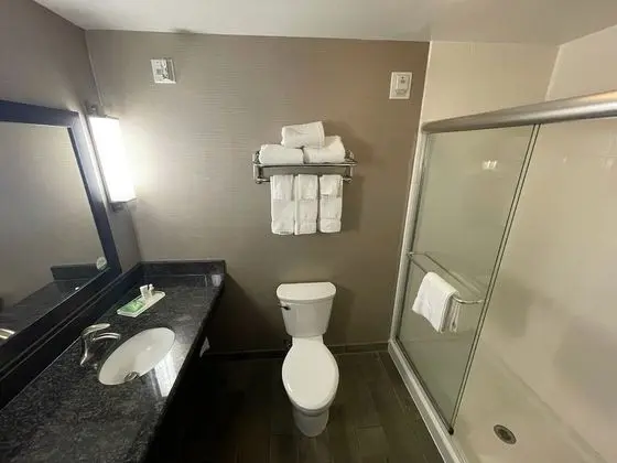 Standard Oda, 1 En Büyük (King) Boy Yatak, Engellilere Uygun, Balkon (Communications)