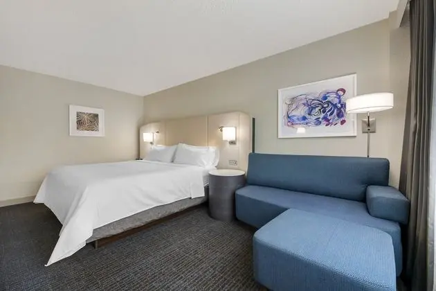Standard Oda, 1 En Büyük (King) Boy Yatak (Pet Friendly Low Floor)