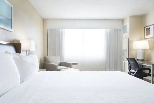 Standard Oda, 1 En Büyük (King) Boy Yatak (Pet Friendly Low Floor)