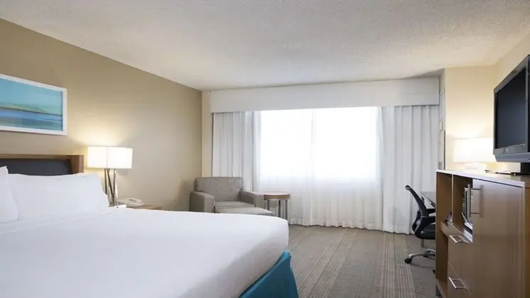 Standard Oda, 1 En Büyük (King) Boy Yatak (Pet Friendly Low Floor)