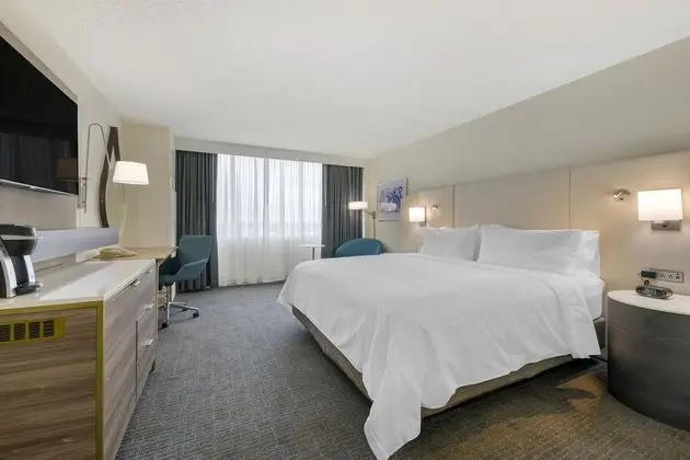 Standard Oda, 1 En Büyük (King) Boy Yatak (Pet Friendly Low Floor)