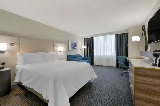 Standard Oda, 1 En Büyük (King) Boy Yatak (Pet Friendly Low Floor)