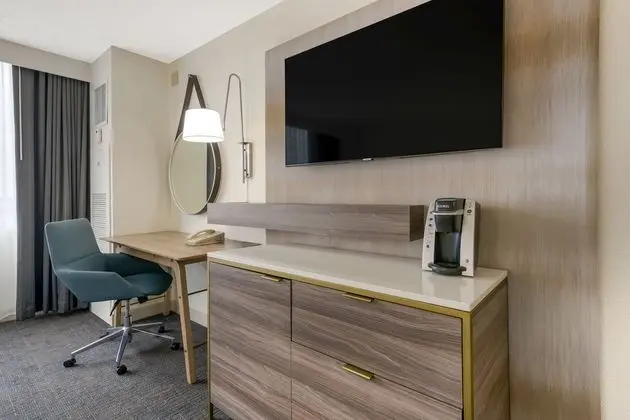 Standard Oda, 1 En Büyük (King) Boy Yatak (Pet Friendly Low Floor)