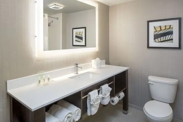 Standard Oda, 1 En Büyük (King) Boy Yatak (Pet Friendly Low Floor)