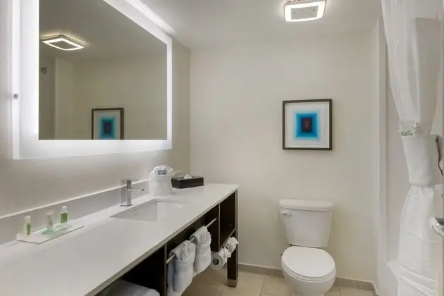 Standard Oda, 1 En Büyük (King) Boy Yatak (Pet Friendly Low Floor)