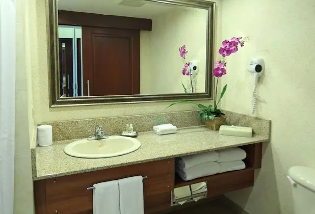 Standard Oda, 2 Çift Kişilik Yatak, Manzaralı (Panama Canal View)