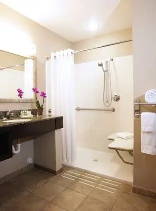 Standard Oda, 2 Büyük (Queen) Boy Yatak, Engellilere Uygun (Communications, Roll-In Shower)