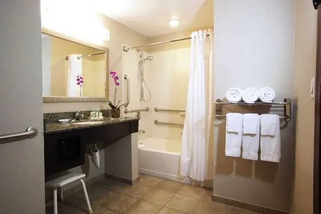Süit, 1 En Büyük (King) Boy Yatak, Engellilere Uygun (Mobility, Accessible Tub)