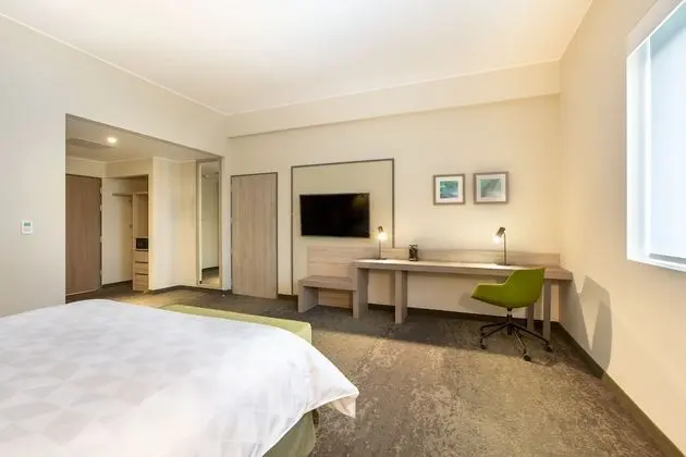 Standard Oda, 1 En Büyük (King) Boy Yatak, Engellilere Uygun (Mobility, Roll-In Shower)